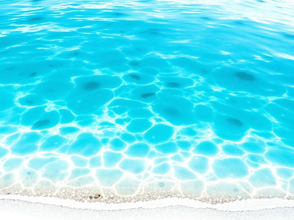 Salt lake water detail
